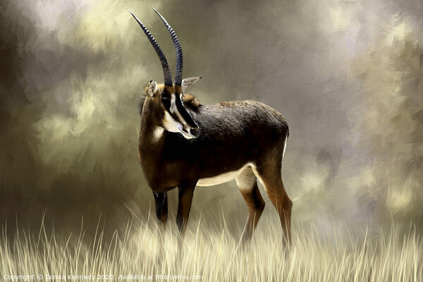 Sable Antelope Picture Board by Donna Kennedy