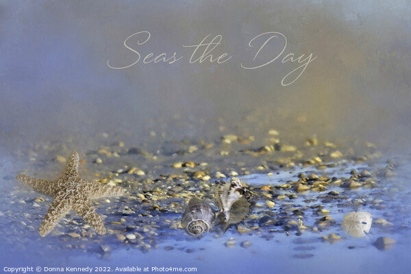 Seas the Day Picture Board by Donna Kennedy