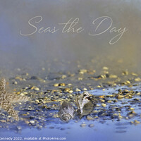 Buy canvas prints of Seas the Day by Donna Kennedy