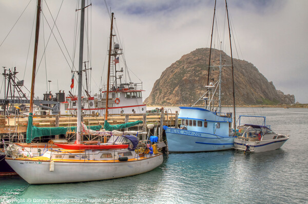 Morro Bay Marina and Rock Picture Board by Donna Kennedy