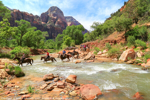 Crossing the Virgin River in Zion Picture Board by Donna Kennedy