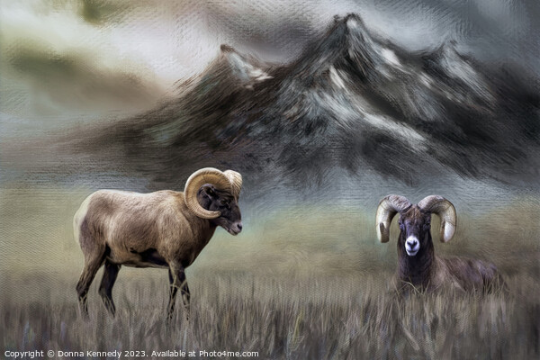 Two Big Horn Sheep Picture Board by Donna Kennedy