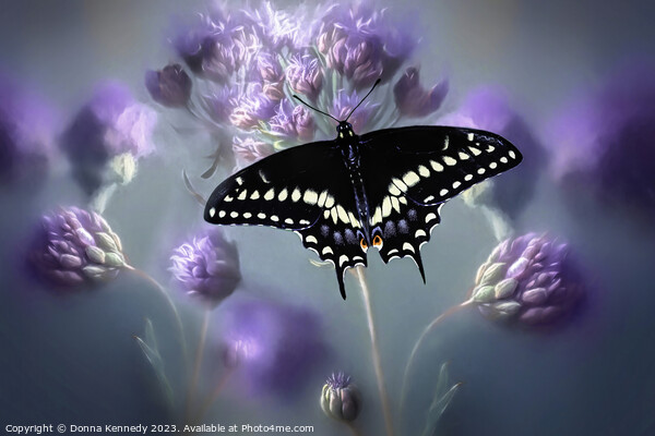 Black Swallowtail Picture Board by Donna Kennedy