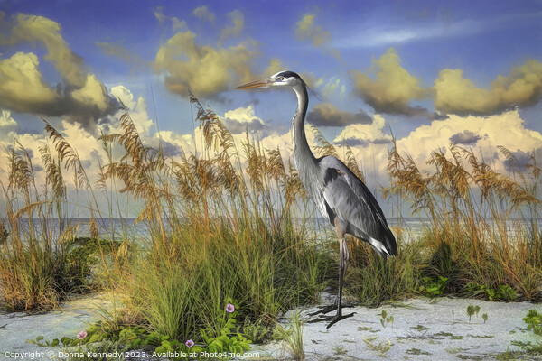 Heron on Gasparilla Island  Picture Board by Donna Kennedy