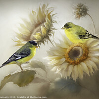 Buy canvas prints of Goldfinches and Sunflowers by Donna Kennedy