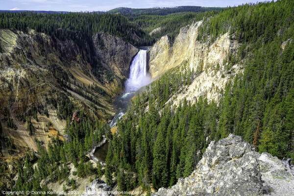 Lower Falls In Yellowstone Picture Board by Donna Kennedy