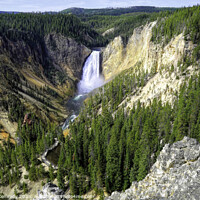 Buy canvas prints of Lower Falls In Yellowstone by Donna Kennedy