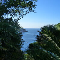 Buy canvas prints of View from Lamorran House,Tropical Gardens, St Mawe by Peter Hodgson