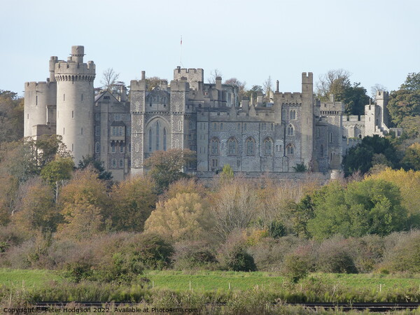 Arundel Norman Castle, Historic Arundel, Sussex Picture Board by Peter Hodgson