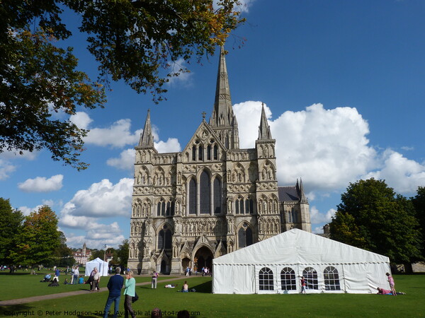 Salisbury Cathedral  Sky Picture Board by Peter Hodgson