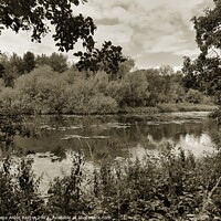 Buy canvas prints of Garden Lake at Newstead Abbey by Elaine Anne Baxter