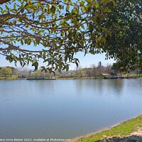Buy canvas prints of Trees Around Lake Tirana Grand Park by Elaine Anne Baxter