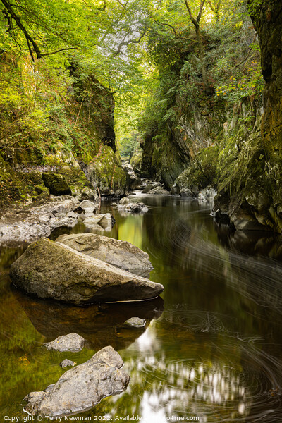 Enchanting Fairy Glen Gorge Picture Board by Terry Newman