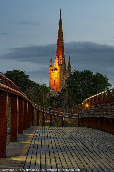 Majestic Norwich Cathedral at Dusk Picture Board by Terry Newman
