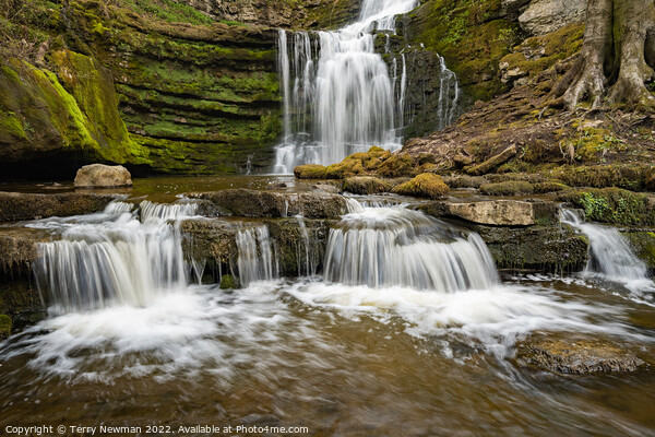 Rushing Streams of Scalebar Force Picture Board by Terry Newman