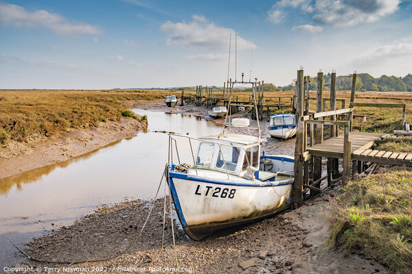 Serene Boats Basking in the Tranquil Thornham Harb Picture Board by Terry Newman