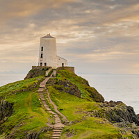 Buy canvas prints of Majestic Twr Mawr Lighthouse by Terry Newman