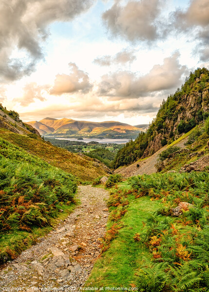 Majestic Derwent Water A Scenic Wonderland Picture Board by Terry Newman