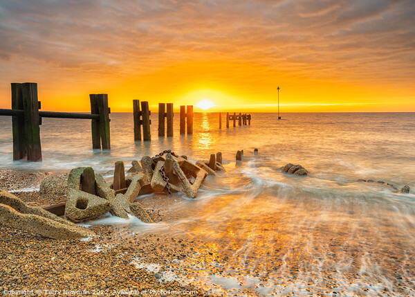 Warm Hues of Bawdsey Sunrise Picture Board by Terry Newman