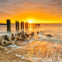 Buy canvas prints of Warm Hues of Bawdsey Sunrise by Terry Newman