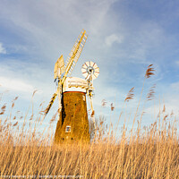 Buy canvas prints of Majestic Hardley Mill in the Norfolk Countryside by Terry Newman