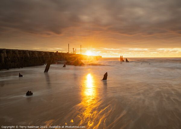 A Golden Sunrise at Walberswick Pier Picture Board by Terry Newman