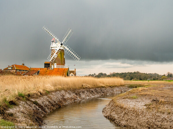 Majestic Cley Windmill on a Winter Morning Picture Board by Terry Newman