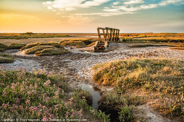 Stiffkey Saltmarshes Norfolk Picture Board by Terry Newman