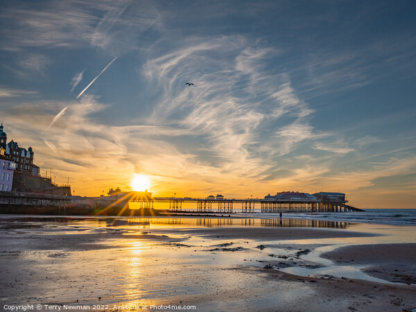 A Majestic Sunset at Cromer Pier Picture Board by Terry Newman