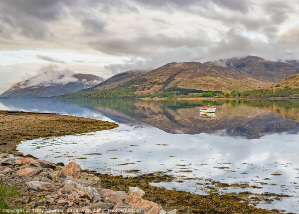 Serenity in the Scottish Loch Picture Board by Terry Newman