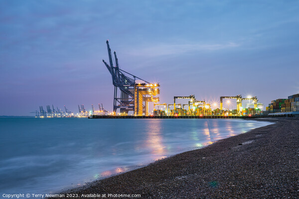 The Golden Sunrise at Felixstowe Docks Picture Board by Terry Newman