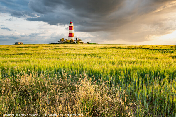 Happisburgh Lighthouse at Sunset Picture Board by Terry Newman