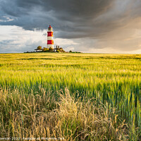 Buy canvas prints of Happisburgh Lighthouse at Sunset by Terry Newman