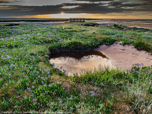 Relections and Sea Lavender at Stiffkey Saltmarshes Picture Board by Terry Newman