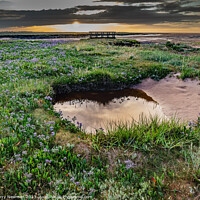 Buy canvas prints of Relections and Sea Lavender at Stiffkey Saltmarshes by Terry Newman