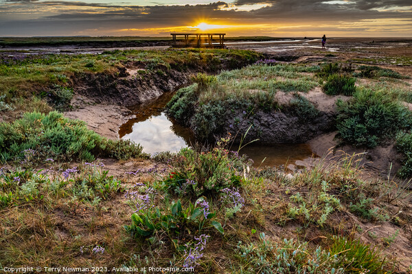 Sunset at Stiffkey Saltmarshes Picture Board by Terry Newman