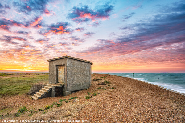Sunrise Colours at Landguard Picture Board by Terry Newman