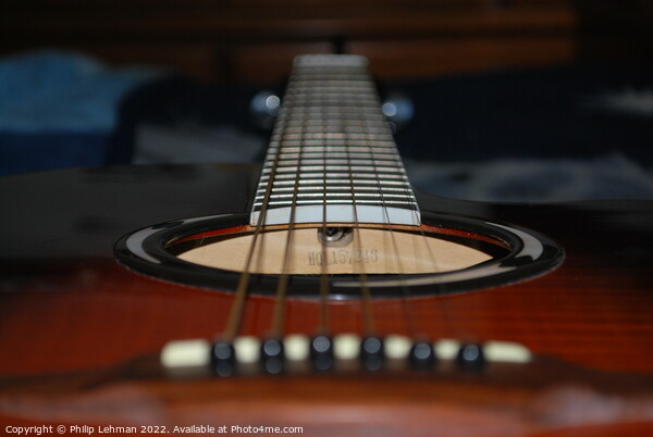 Guitar Strings 2 Picture Board by Philip Lehman