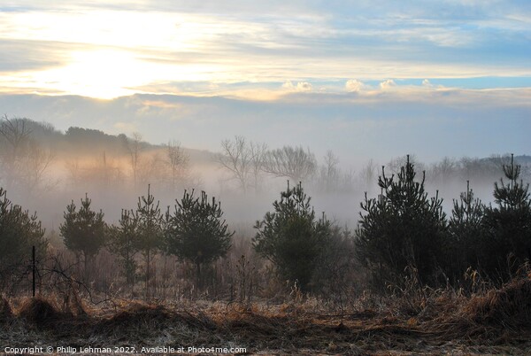 Misty Morning Sunrise 2 Picture Board by Philip Lehman