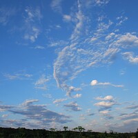 Buy canvas prints of Clouds on a sunny day 3 by Philip Lehman