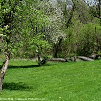 Buy canvas prints of Old Fence line Landscape 3A by Philip Lehman