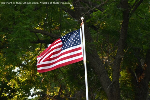 American Flags (5A1) Picture Board by Philip Lehman