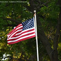 Buy canvas prints of American Flags (5A1) by Philip Lehman