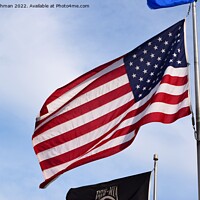 Buy canvas prints of US Flag 2021 (3A) by Philip Lehman