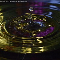 Buy canvas prints of Water Droplet Gold 1 by Philip Lehman