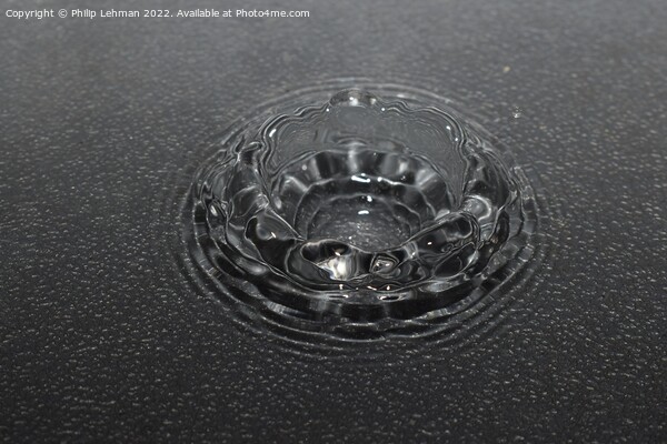 Water Droplet Black & White 1 Picture Board by Philip Lehman