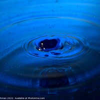Buy canvas prints of Blue Water Drops (23A) by Philip Lehman