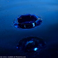 Buy canvas prints of Blue Water Drops (32A) by Philip Lehman