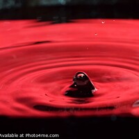 Buy canvas prints of Red background water drops (41B) by Philip Lehman