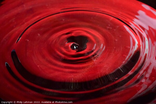 Red background water drops (17B) Picture Board by Philip Lehman
